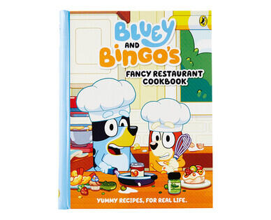 Bluey Novelty Books