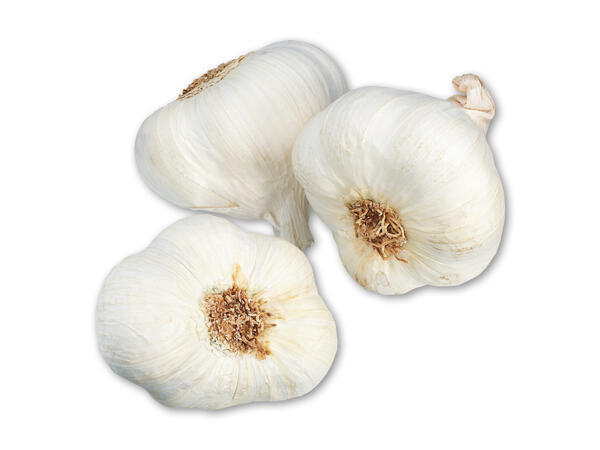 Hvidløg