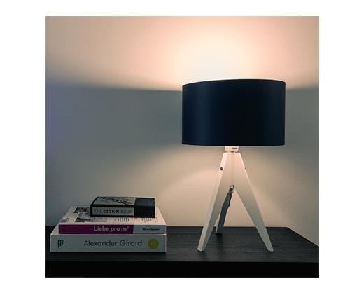 Lightway 
 4-Pack LED Light Bulbs