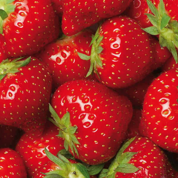 Premium Erdbeeren