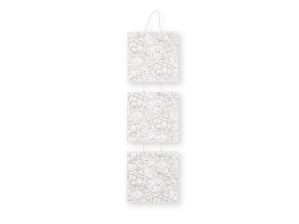 Canvas Set