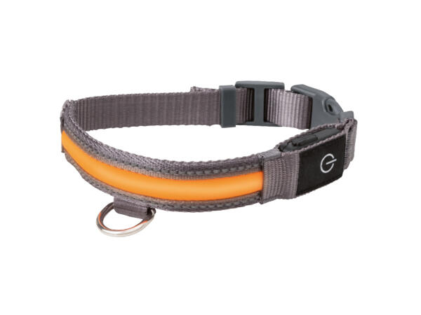 LED Dog Band / LED Dog Collar