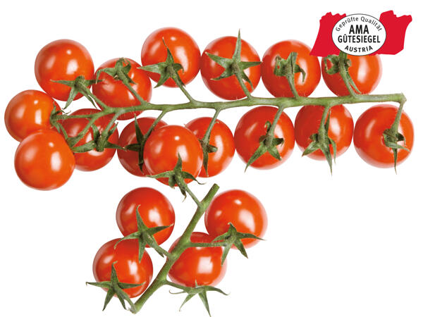 Cherrystrauchtomaten aus dem Burgenland