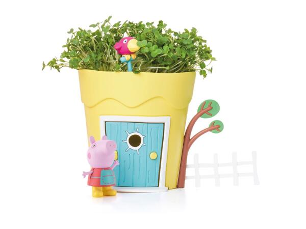 Peppa Pig Growing Pot