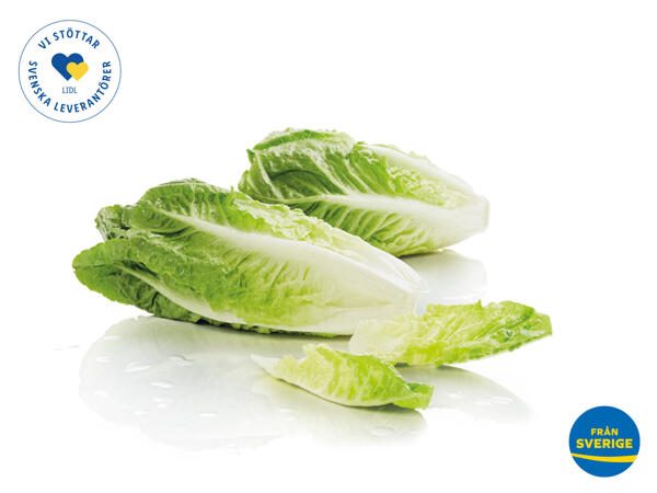Romansallad