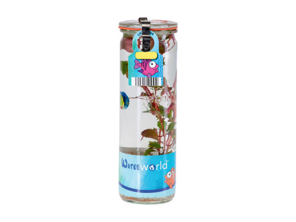 Aquatic plant