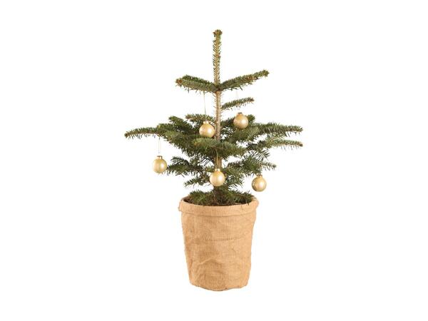 Apartment Christmas Tree