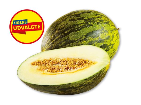 Grøn honningmelon Piel de Sapo