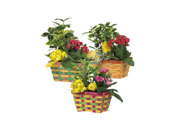 Blommor i påskkorg