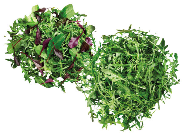 Rucola oder Mix Salat