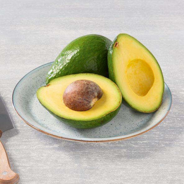 Avocat XXL