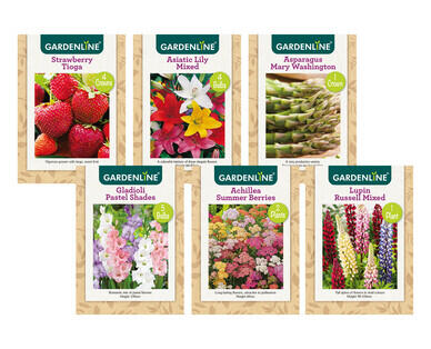 Packet Bulbs