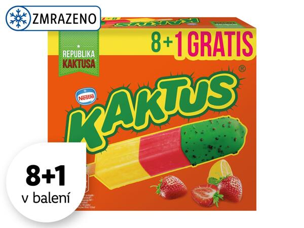 ZMRZLINA KAKTUS