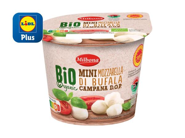 Bio Mini Mozzarella di Bufala DOP