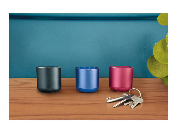 Silvercrest Mini Bluetooth(R) Speaker