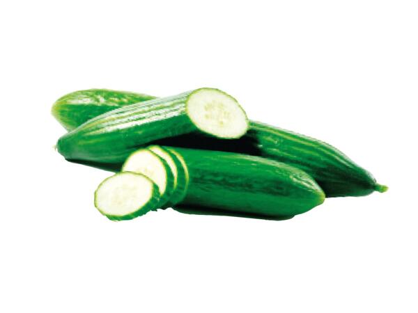 Cucumber