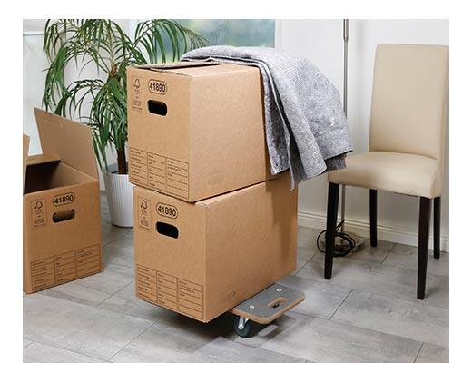 Easy Home Multi-Purpose Dolly