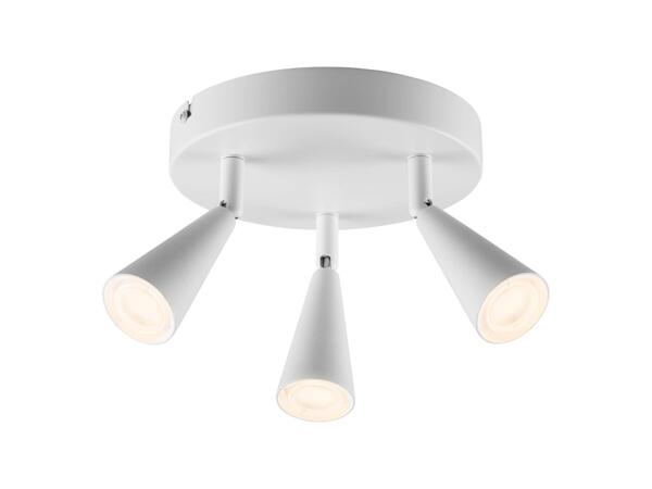 LED Ceiling Light