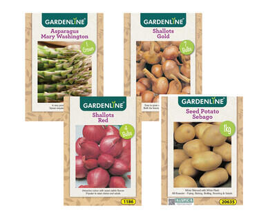 Packet Bulbs