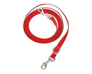 Heart to Tail 
 Poly Tie Out