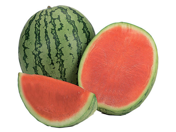 Wassermelone kernarm