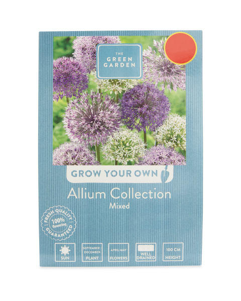 Allium Collection