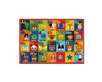 Smithsonian Education Rug