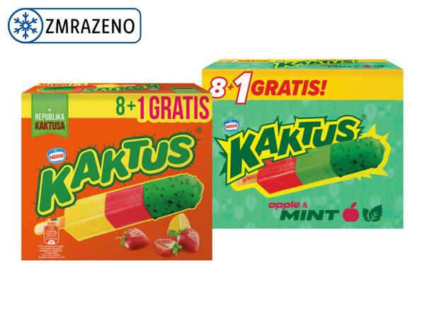ZMRZLINA KAKTUS