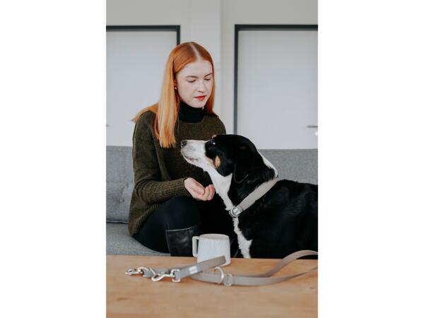 Kessi Dog Leash
