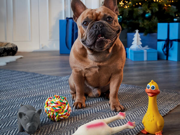 Dog Toys