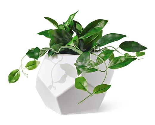 Belavi 
 Geometric Planter