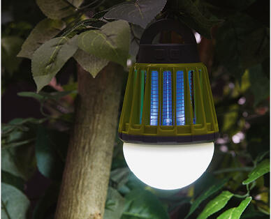 Light with Bug Zapper
