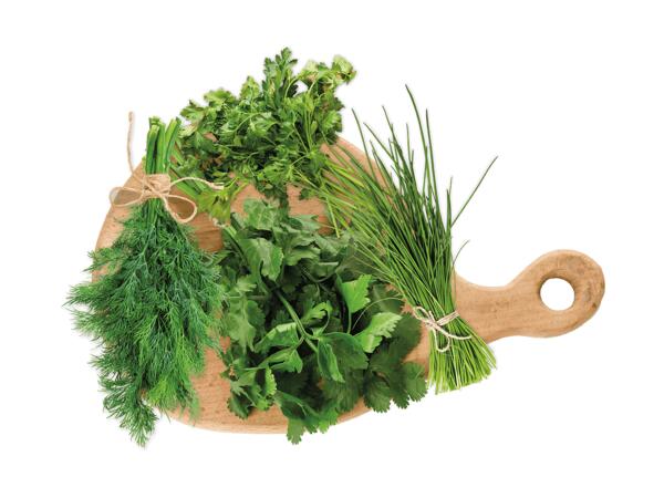Frische Kräuter