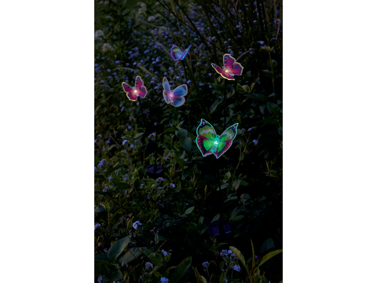 Decorative Solar-Powered Light