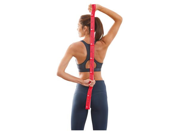 Resistance Band or Abdominal Muscle Trainer