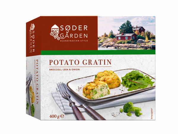 Potato Gratin