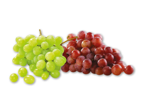 Grappoloni- eller Red Globevindruer