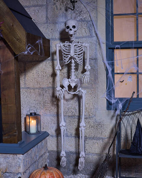 Posable Skeleton