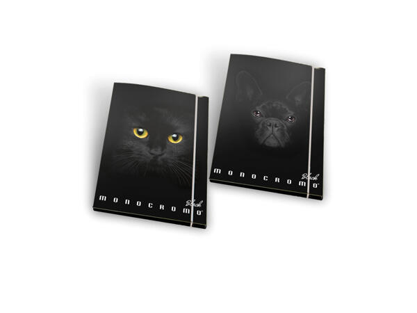 Folders, 3 Flaps Black