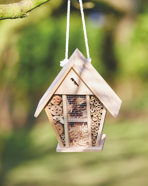 Bee and Insect House Conical Body