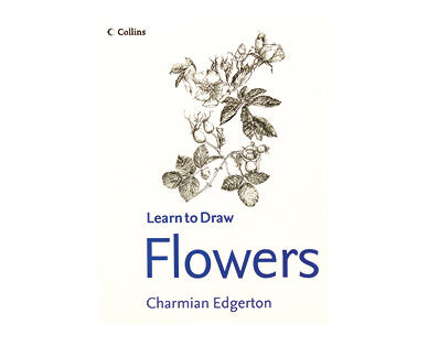 Learn to Draw Books