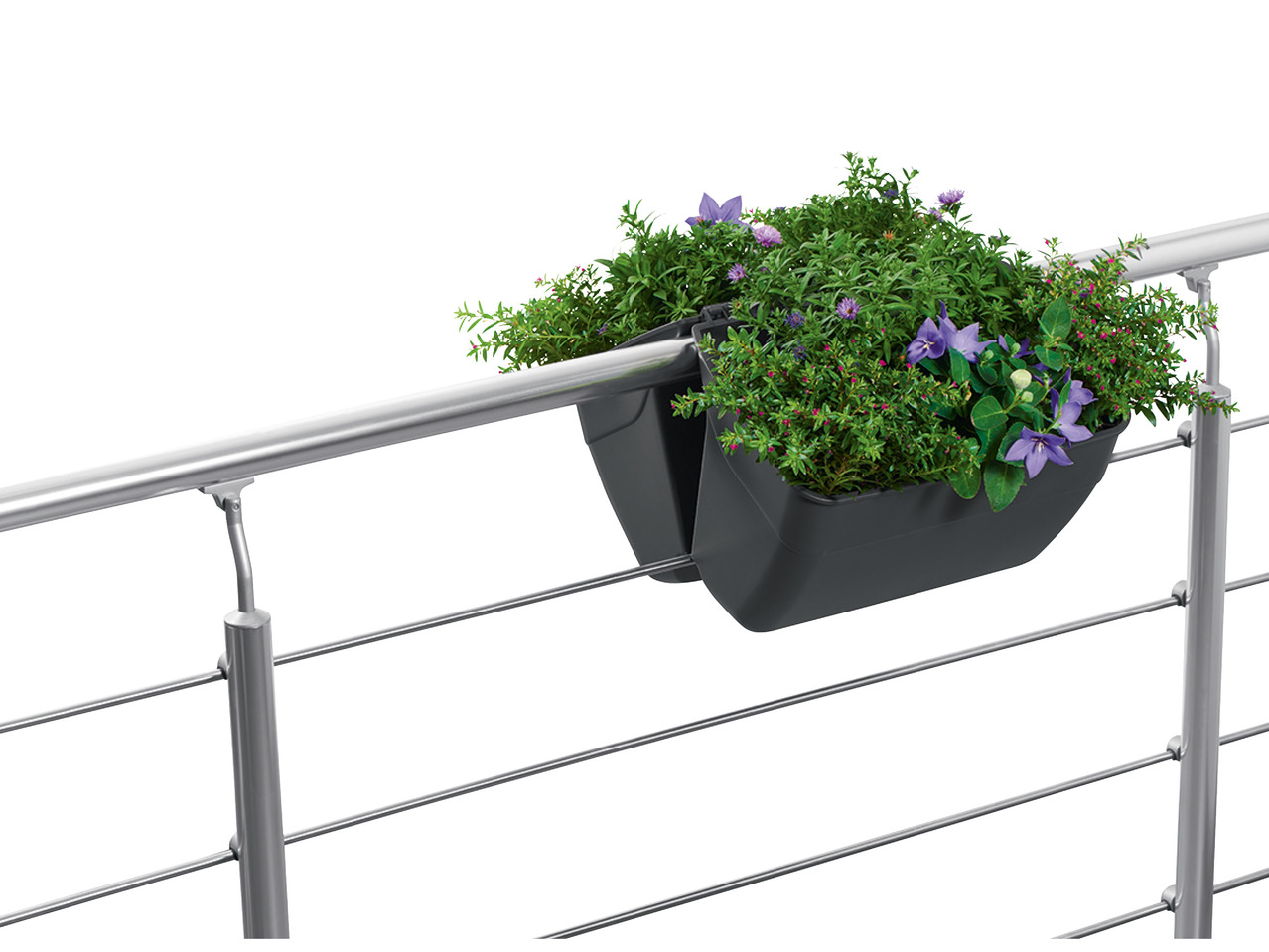 FLORABEST(R) Altankassesæt