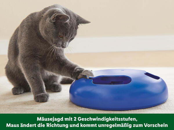 Katzenspielzeug