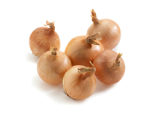Oignons