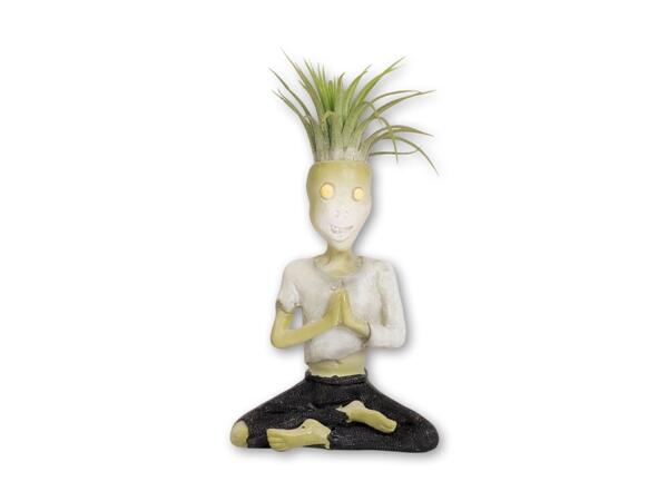 Tillandsia i keramik