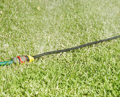 Soaker And Spray Hoses