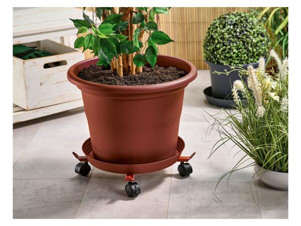 Adjustable plant roller with castors