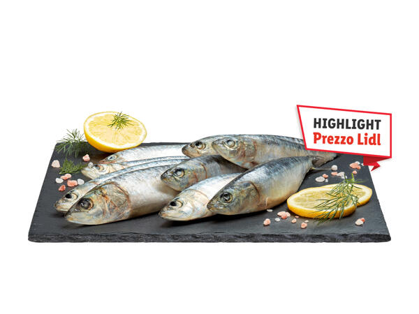 Sardines
