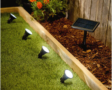 Solar Powered Spotlights