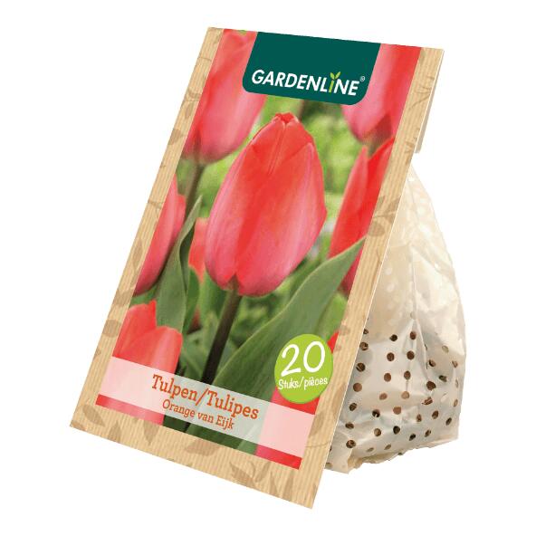 GARDENLINE(R) Tulpenzwiebeln, 20 St.